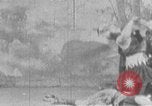 Standbild schottischen Mannen im Kampf United States USA, 1907, aus Sekunde 35 historischem Filmmaterial Videoclip 65675073464
