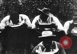 Immagine di Anguria Contest United States USA, 1900, secondo 38 filmato di repertorio 65675073468