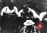 Immagine di Anguria Contest United States USA, 1900, secondo 39 filmato di repertorio 65675073468
