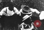 Immagine di Anguria Contest United States USA, 1900, secondo 53 filmato di repertorio 65675073468