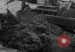 Image of tractor plows Holland Netherlands, 1954, second 13 stock footage video 65675073518