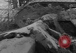Image of tractor plows Holland Netherlands, 1954, second 14 stock footage video 65675073518