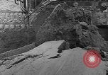 Image of tractor plows Holland Netherlands, 1954, second 16 stock footage video 65675073518