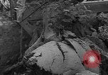Image of tractor plows Holland Netherlands, 1954, second 19 stock footage video 65675073518