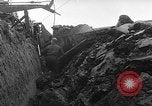 Image of tractor plows Holland Netherlands, 1954, second 23 stock footage video 65675073518