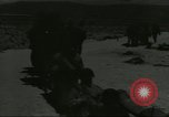 Image of Exercise Desert Rock 6 Nevada United States USA, 1955, second 13 stock footage video 65675073529
