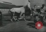 Image of full honor funeral Washington DC USA, 1958, second 40 stock footage video 65675073538