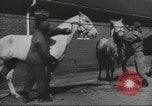 Image of full honor funeral Washington DC USA, 1958, second 55 stock footage video 65675073538