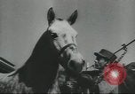 Image of full honor funeral Washington DC USA, 1958, second 57 stock footage video 65675073538