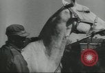 Image of full honor funeral Washington DC USA, 1958, second 62 stock footage video 65675073538