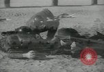 Standbild Firma E 1 Training Regiment Auszubildende Fort Dix New Jersey USA, 1955, aus Sekunde 48 historischem Filmmaterial Videoclip 65675073548
