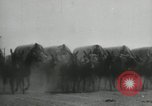 Standbild amerikanische Soldaten United States USA, 1935, aus Sekunde 15 historischem Filmmaterial Videoclip 65675073568