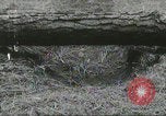 Image of United States Army Rangers Fort Benning Georgia USA, 1958, second 55 stock footage video 65675073587