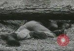 Image of United States Army Rangers Fort Benning Georgia USA, 1958, second 57 stock footage video 65675073587