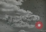 Image of United States Army Airborne School Fort Benning Georgia USA, 1958, second 20 stock footage video 65675073589