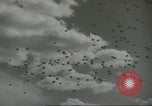 Image of United States Army Airborne School Fort Benning Georgia USA, 1958, second 22 stock footage video 65675073589
