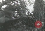 Image of infantry soldiers European Theater, 1958, second 4 stock footage video 65675073592