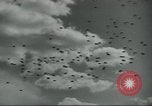 Image Fort Benning Fort Benning Georgia USA, 1958, de la seconde 34 séquences d'archives historiques vidéo 65675073593