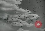 Image Fort Benning Fort Benning Georgia USA, 1958, de la seconde 36 séquences d'archives historiques vidéo 65675073593