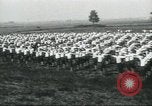 Image fantassins Formation United States USA, 1917, de la seconde 42 séquences d'archives historiques vidéo 65675073596
