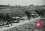 Image of infantrymen United States USA, 1928, second 39 stock footage video 65675073597