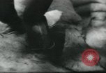 Image of infantrymen United States USA, 1940, second 45 stock footage video 65675073598