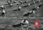 Image of United States Army Rangers United States USA, 1955, second 28 stock footage video 65675073600