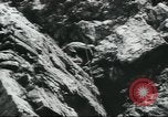 Image of Special Forces soldiers United States USA, 1955, second 6 stock footage video 65675073602