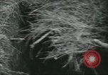 Image of Special Forces soldiers United States USA, 1955, second 31 stock footage video 65675073602
