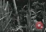 Image of Special Forces soldiers United States USA, 1955, second 34 stock footage video 65675073602