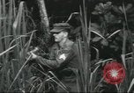 Image of Special Forces soldiers United States USA, 1955, second 35 stock footage video 65675073602