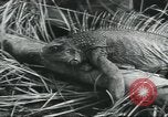 Image of Special Forces soldiers United States USA, 1955, second 37 stock footage video 65675073602
