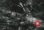 Image of Special Forces soldiers United States USA, 1955, second 40 stock footage video 65675073602