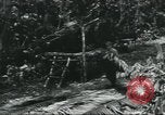 Image of Special Forces soldiers United States USA, 1955, second 43 stock footage video 65675073602