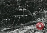 Image of Special Forces soldiers United States USA, 1955, second 44 stock footage video 65675073602