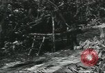 Image of Special Forces soldiers United States USA, 1955, second 47 stock footage video 65675073602