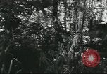 Image of Special Forces soldiers United States USA, 1955, second 54 stock footage video 65675073602