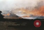 Standbild Pearl Harbor Angriffe Arlington Virginia USA, 1945, aus Sekunde 5 historischem Filmmaterial Videoclip 65675073611