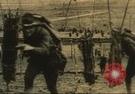 Immagine di Stelle e strisce di giornale United States USA, 1918, secondo 25 filmato di repertorio 65675073617