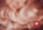 Image of Pat Nixon Washington DC USA, 1972, second 17 stock footage video 65675073686