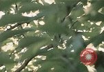 Image of Richard Nixon Washington DC USA, 1972, second 3 stock footage video 65675073688
