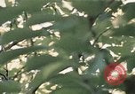 Image of Richard Nixon Washington DC USA, 1972, second 4 stock footage video 65675073688