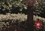 Image of Richard Nixon Washington DC USA, 1972, second 12 stock footage video 65675073688