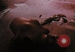 Standbild kriegsfeindliche Demonstranten United States USA, 1968, aus Sekunde 46 historischem Filmmaterial Videoclip 65675073744