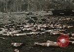 Standbild Hubert Humphrey United States USA, 1968, aus Sekunde 32 historischem Filmmaterial Videoclip 65675073745