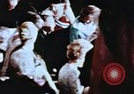 Image of Richard Nixon Washington DC USA, 1971, second 47 stock footage video 65675073764