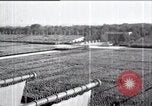 Immagine di Adolf Hitler Nürnberg Germania, 1935, secondo 59 filmato di repertorio 65675073778