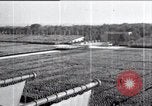 Immagine di Adolf Hitler Nürnberg Germania, 1935, secondo 60 filmato di repertorio 65675073778