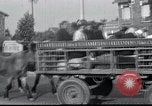 Image of Evacuees France, 1940, second 11 stock footage video 65675073797