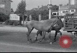 Image of Evacuees France, 1940, second 25 stock footage video 65675073797